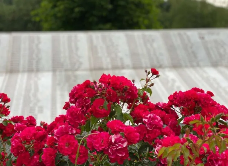 srebrenica genocid 4