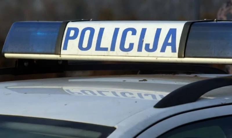 policiaj 6