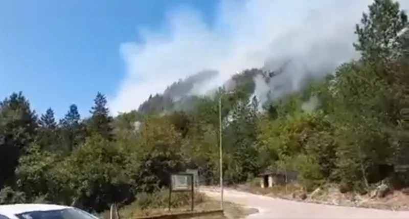 pozar konjic ddd