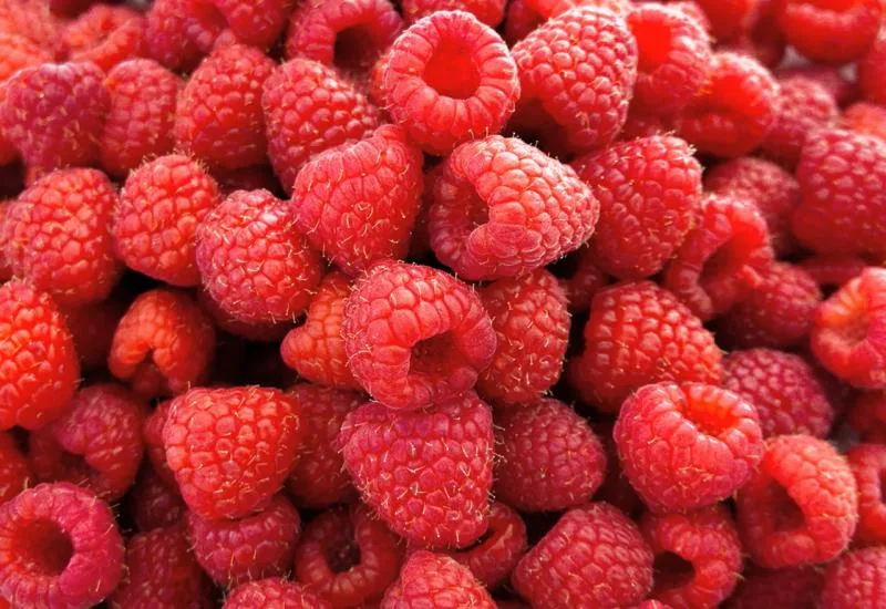 maline