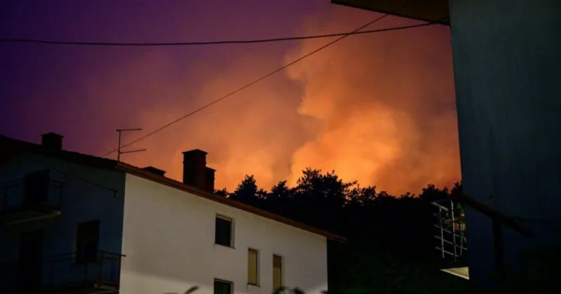 slovenija pozari
