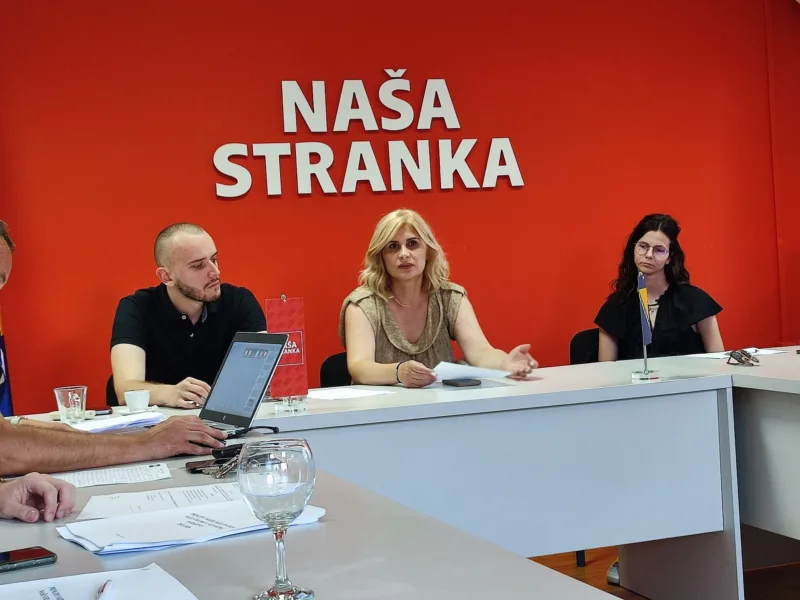 vildana beslija NS