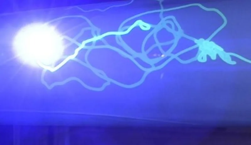 oolovka laser 4
