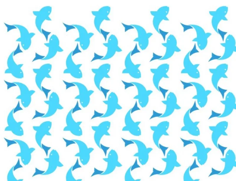 delfini iluzija 6