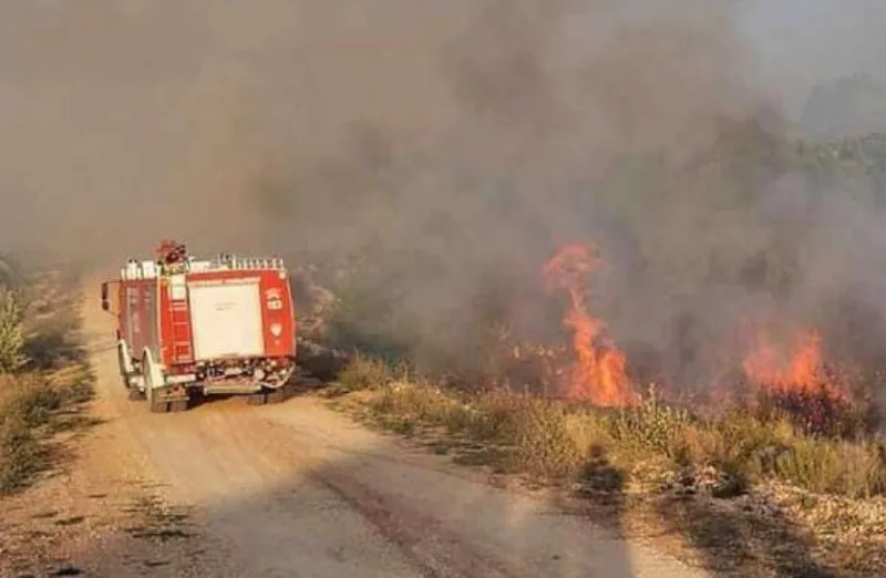 pozari hercegovina 4