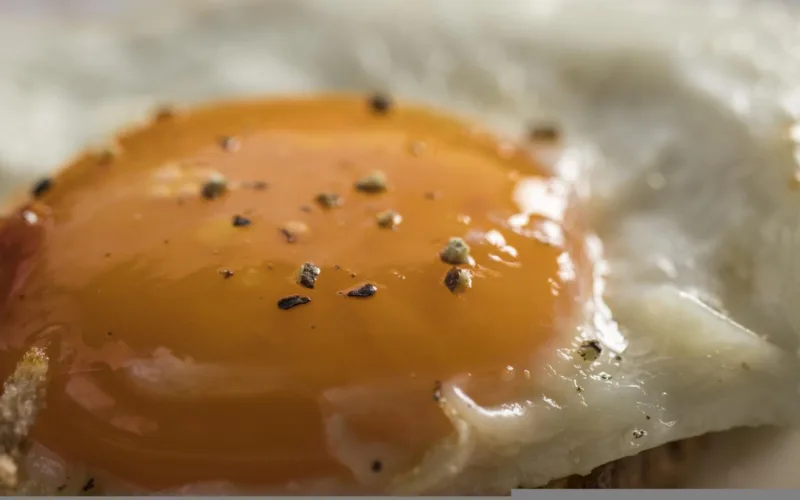 food-6862978_1920-1600x1000