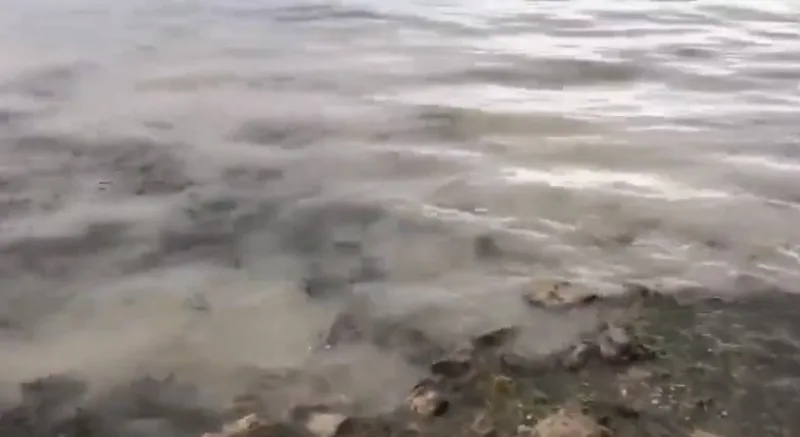 jezero mead 1
