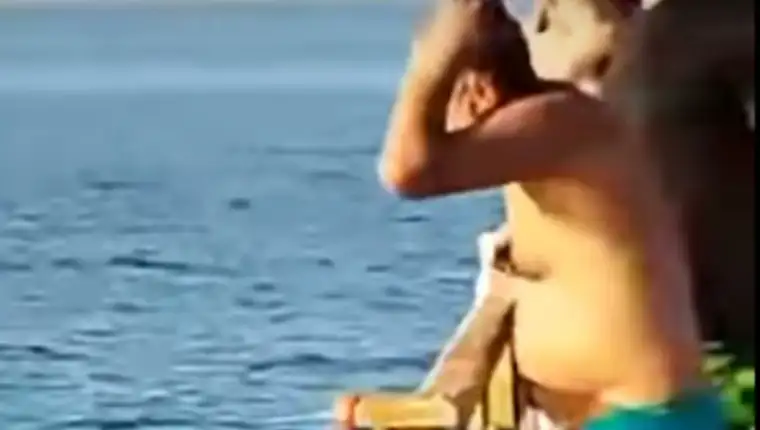 ajkula napad1