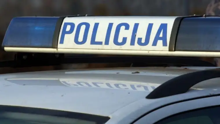 policiaj 6