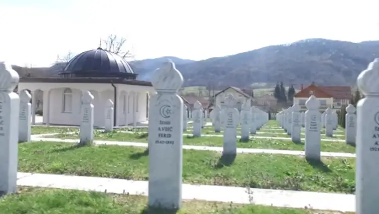 biljani 45