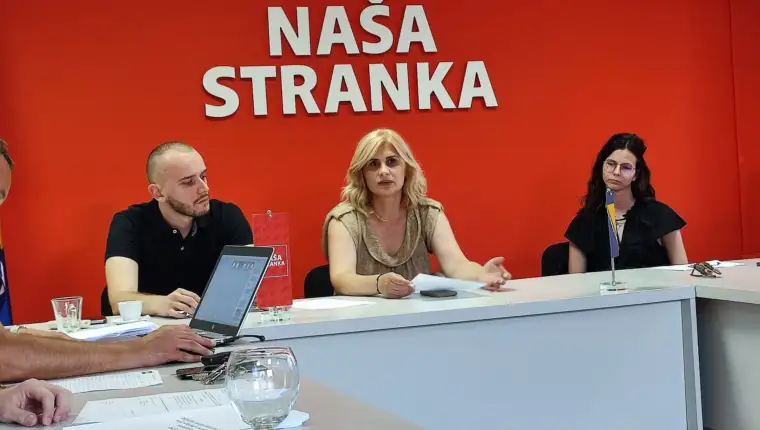 vildana beslija NS
