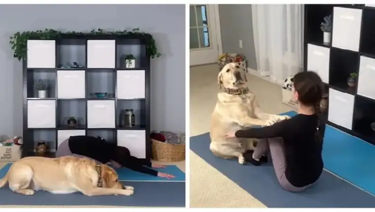 joga i pas
