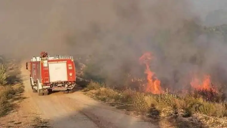 pozari hercegovina 4