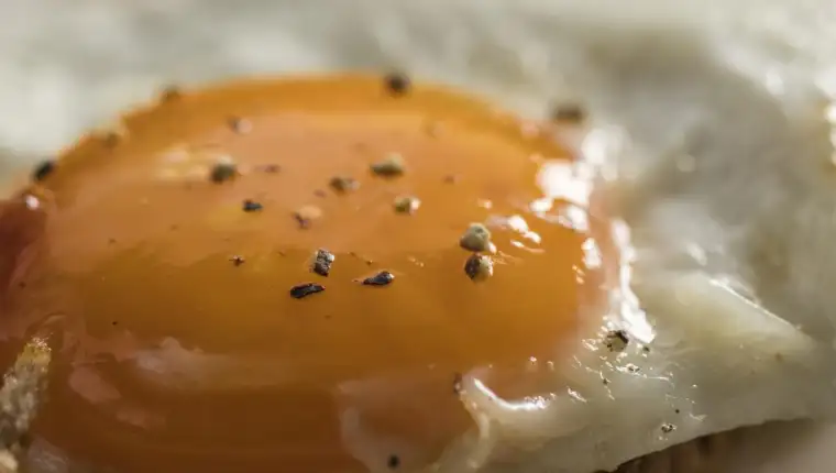 food-6862978_1920-1600x1000