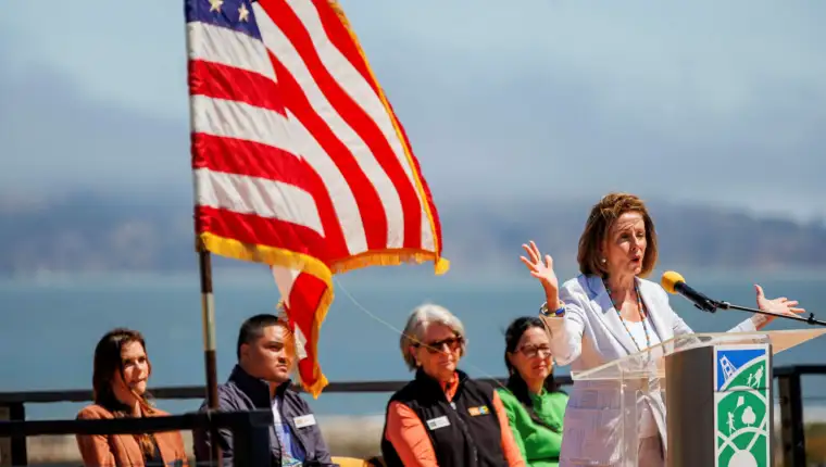 pelosi