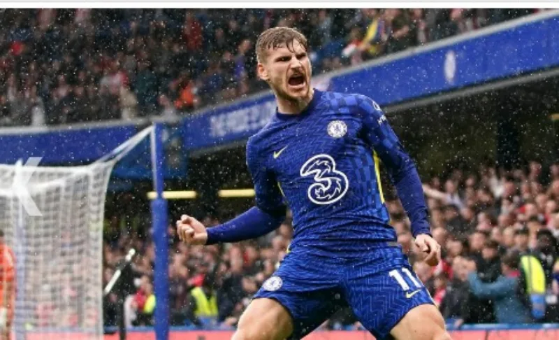 werner timo 4