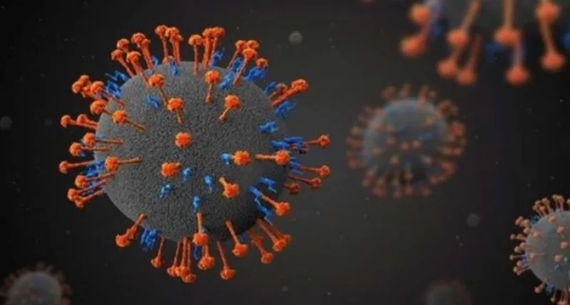 langia virus 4