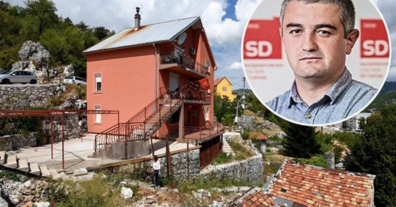 vuk borilvoic