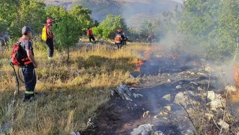 pozari 45