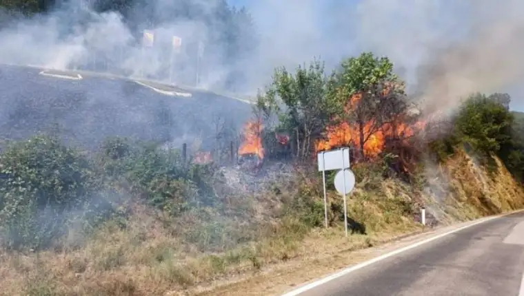 pozari 4