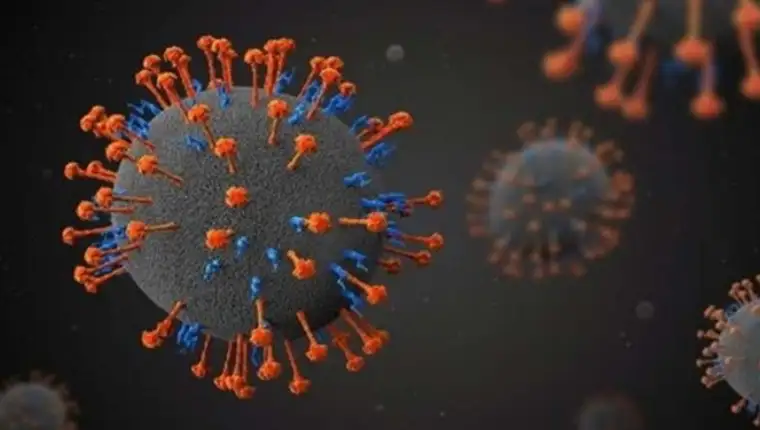 langia virus 4