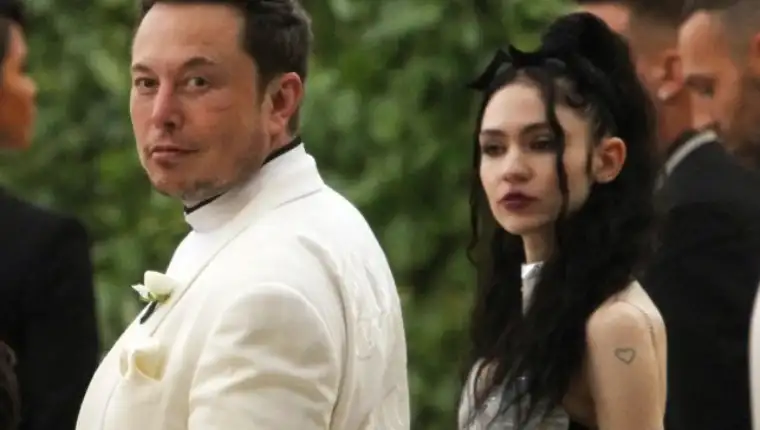 musk grimes 1