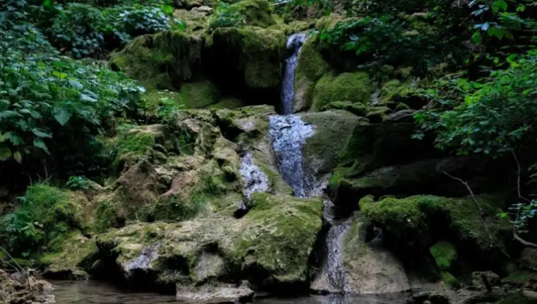 Screenshot_1