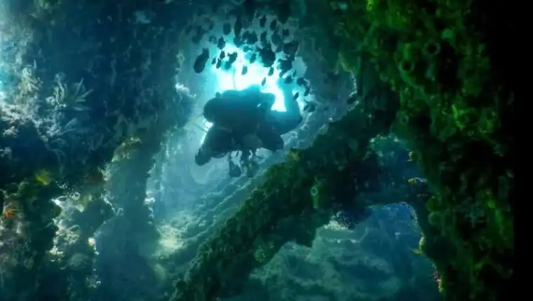 Screenshot_6