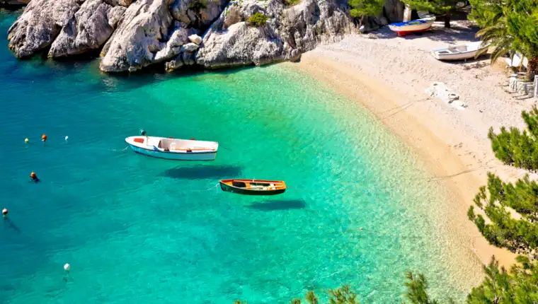 hrvatska palze