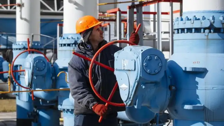 plin1