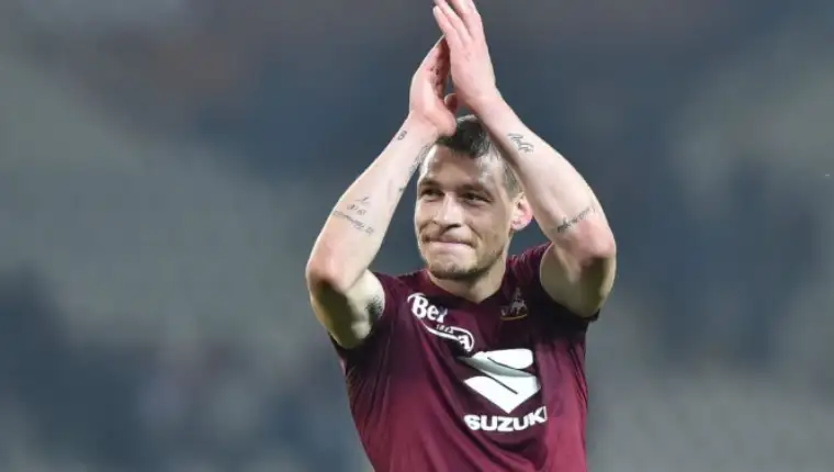 belotti 4