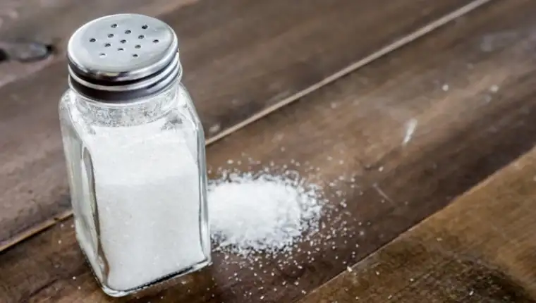 salt-shaker