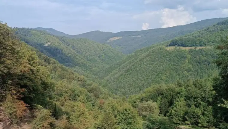 Screenshot_7