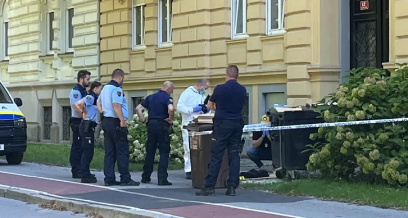 slovenija-slucaj