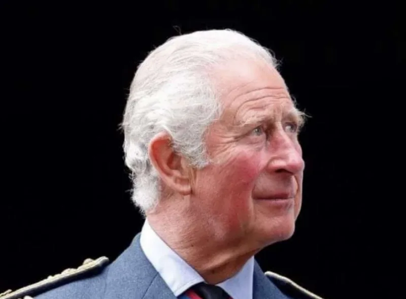 charles 8