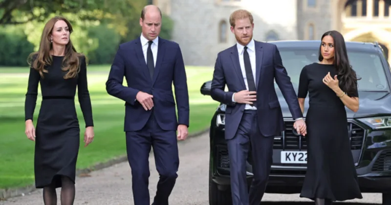 harry william