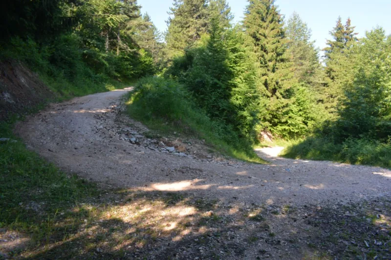 apelova cesta 2