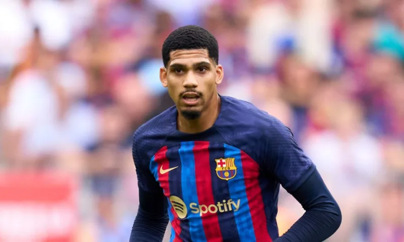 araujo 3