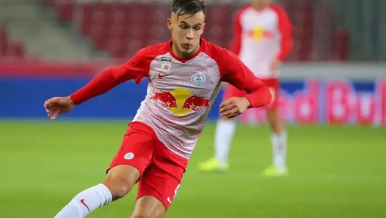 dedic amar 1