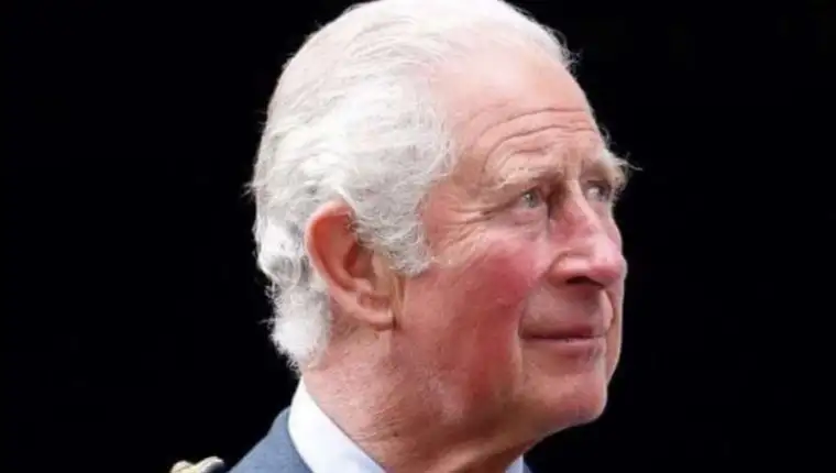 charles 8