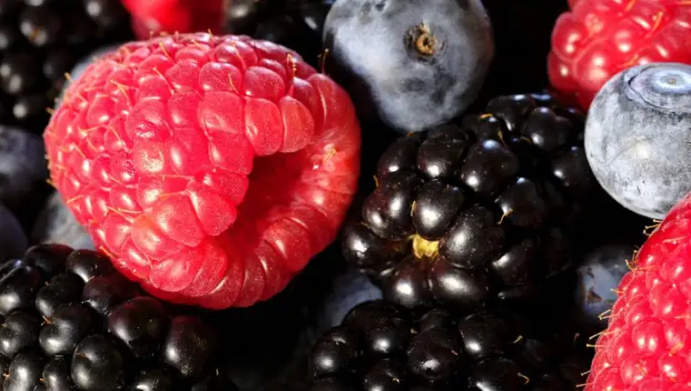 berry-32378831920-830x0
