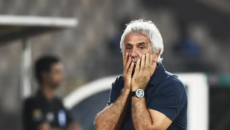 vaha halilhodzic