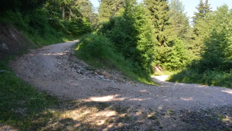 apelova cesta 2