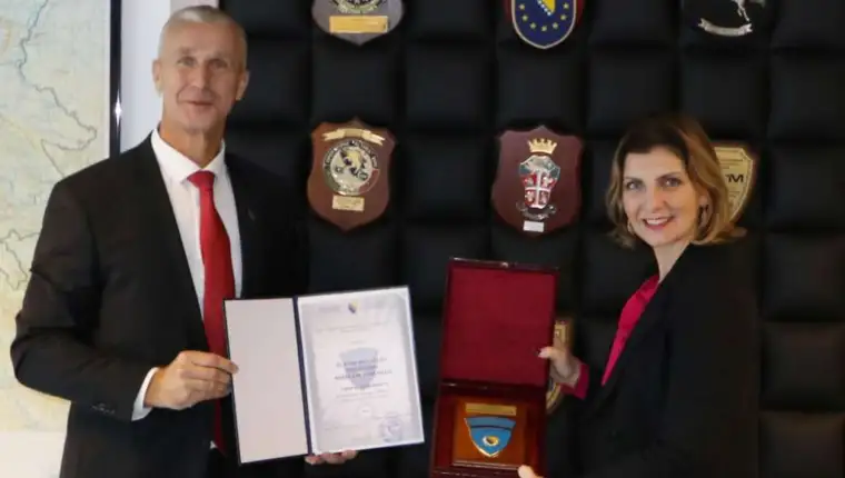 vilic iom