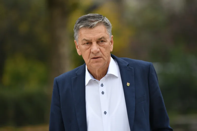 Koalicija  fzad kasumović portret
