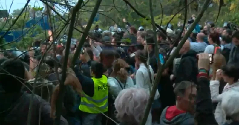 novi sad protesti