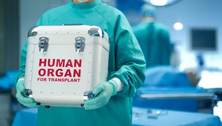 transplantacija