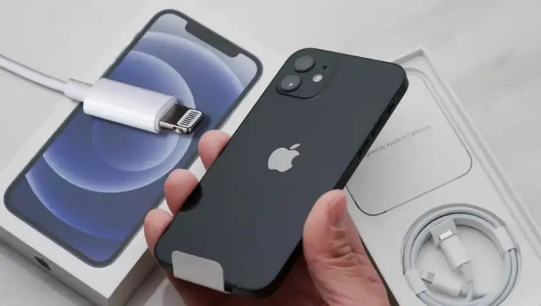 iphone punjac