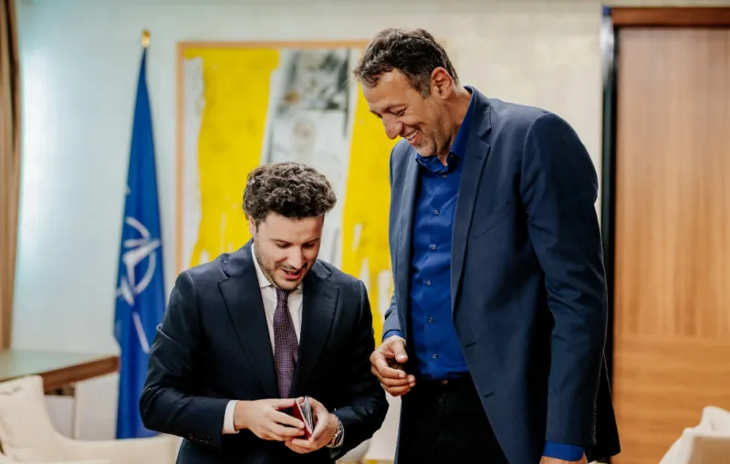 divac abazhovic 1