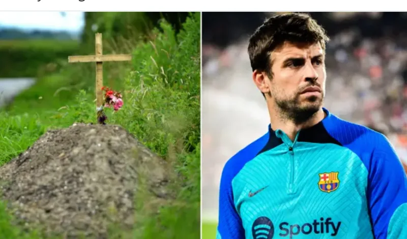 pique 1